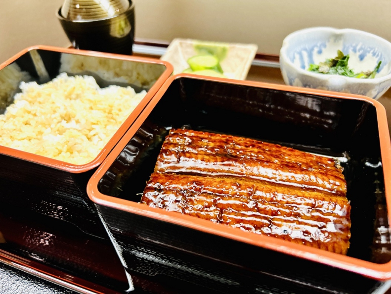◆高知県仁淀川産　鰻重膳　