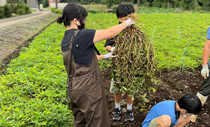 イメージ：地元農家と連携した収穫体験 