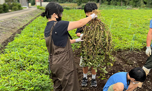 イメージ：地元農家と連携した収穫体験 