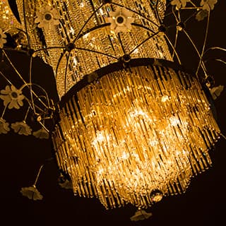 フォトギャラリー