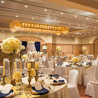 フォトギャラリー